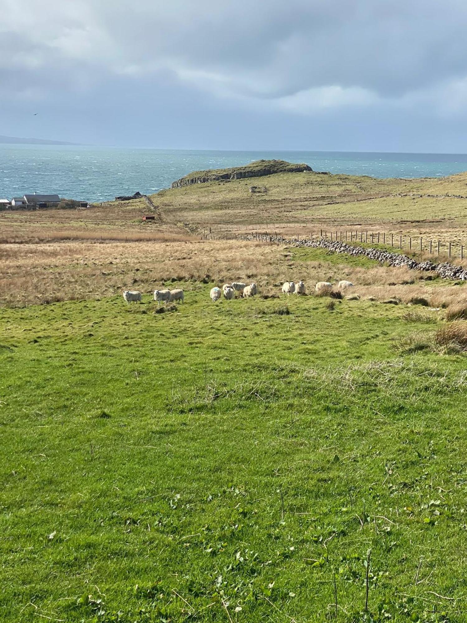 Cnoc Ruaraidh Cottage Kilmuir  Kültér fotó